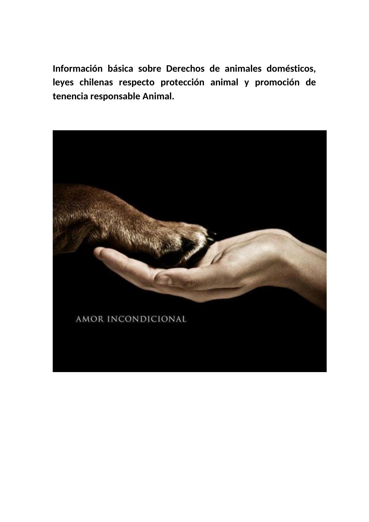 Información básica sobre Derechos de animales domésticos, leyes chilenas respecto protección animal y promoción de tenencia responsable Animal